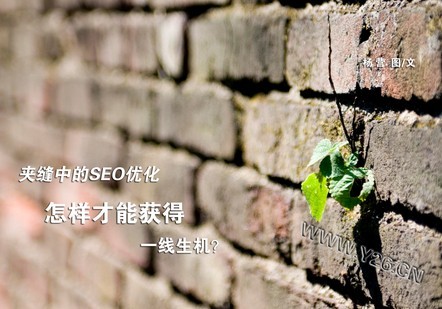 QQ图片20131014093857